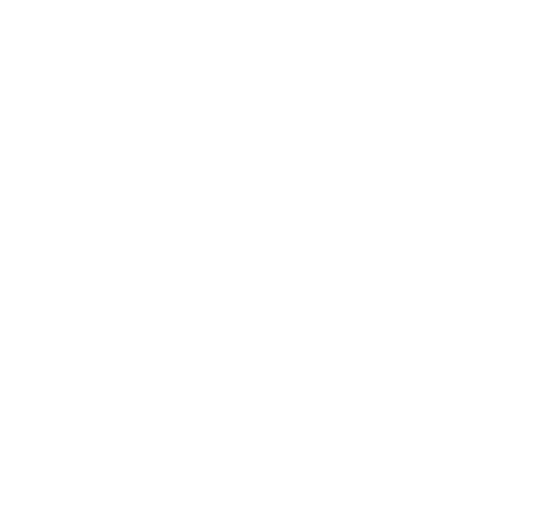 STICKS + STONES